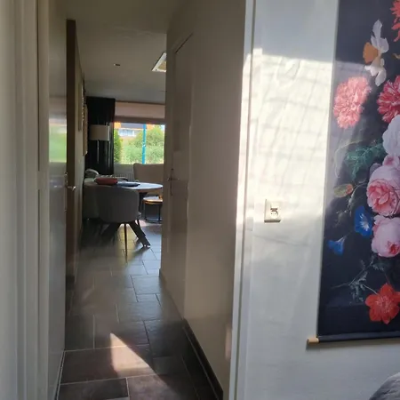 Mooi Zo 2