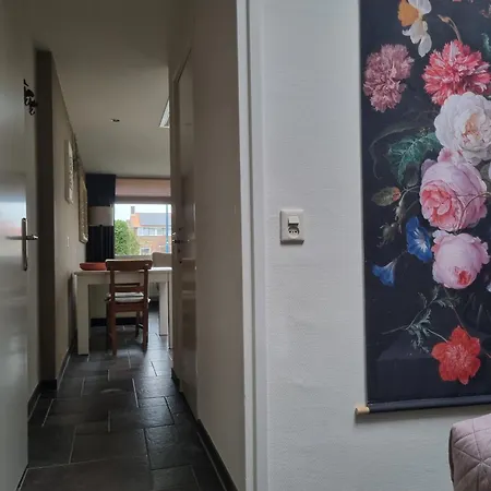 Mooi Zo 2 Apartmán De Koog (Texel)